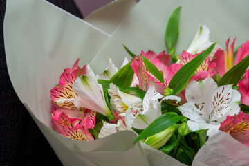 close-up of pink alstroemerias in a bouquet with white alstroemerias and scattered pollen on the petals