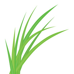 blades of green grass- vector illustration