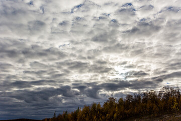 Fototapeta premium Autumn landscape in tundra, northern Norway. Europe