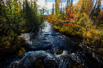 Autumn landscape in Yllas Pallastunturi National Park, Lapland, Finland