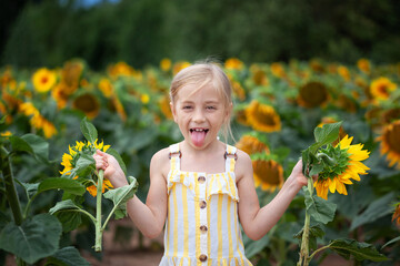 Cheerful cheerful girl laughs and shows her tongue holding a sunflower in her hands in summer day...