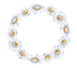 Chamomile frame, ring, Daisies flowers, top view. Template. Watercolor illustration isolated on whitebackground. Hand painted.