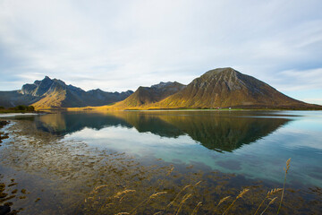Obraz premium Autumn landscape and beach in Lofoten Islands, Northern Norway