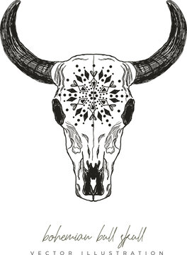 Bohemian bull skull drawing