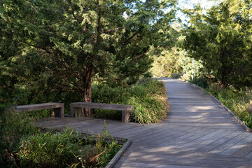 Fototapeta na wymiar Path with Benches and Green Plants at Hudson River Park in New York City during the Summer