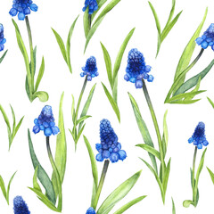 Muscari flower pattern watercolor realistic illustration. Botanical art painting. Can be used for gift cards and textile design, wrapping, packaging, paper.