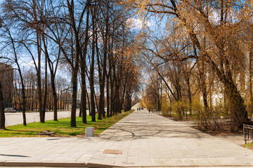 Autumn alley in the city, a walking path for walking. Trees with yellow, golden leaves against a blue sky with clouds