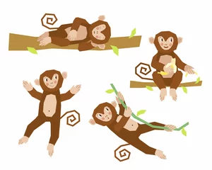 Fototapete Affe Eine Sammlung süßer Cartoon-Affen in verschiedenen Positionen. Der sitzende Affe frisst eine Banane, schläft auf einem Ast, tanzt und hängt an einer Liane. Vektor-Illustration im flachen Stil.