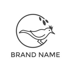 bird logo design vector