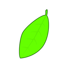 cartoon illustration of leaf isolated on white background. vector icon