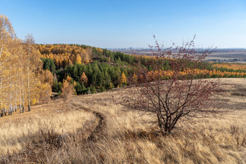A hill overgrown with dry grass. Road descending to mixed autumn forest. In the distance is a...