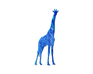 Giraffe zoo Blue Waves Icon Logo Symbol illustration
