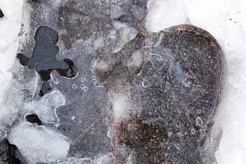 Icy puddle melting reveals water and leaves below