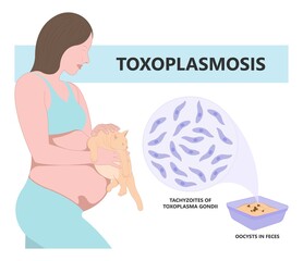 Toxoplasmosis cyst Fecal life cycle cat retina eye hiv aids mother child retina pet women animal faece poop fetal birth defect T. gondii poo meat pork virus fungi