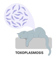 Toxoplasmosis cyst Fecal life cycle cat retina eye hiv aids mother child retina pet women animal faece poop fetal birth defect T. gondii poo meat pork virus fungi