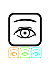 Female eye. Eyelashes, eyebrows, contacts. Vector icon isolated