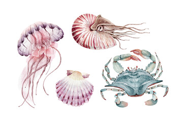 Marine set of corals, crabs and animal organisms, hand painted in watercolor. © Lana