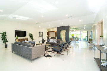 white luxury living room 