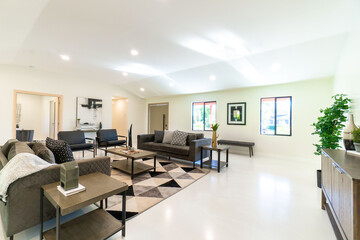 white luxury living room 