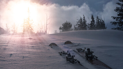 Skis with tech bindings on a snowdrift in the forest.  Sunlight low over the horizon in the...