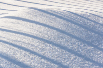 Fototapeta na wymiar Shadows on the snow from the fence.