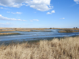 The beautiful wetland scenery of the Edwin B Forsythe National Wildlife Refuge, Galloway, New Jersey