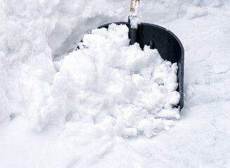 A snow shovel with some snow in it.