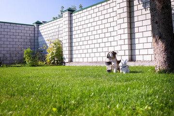 Fototapete bei efototapeten.de bestellen   