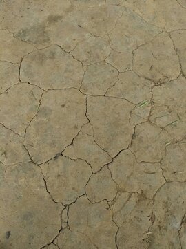 Dry cracked earth