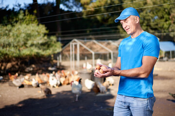 male farmer holding chicken eggs in ecological farm