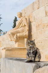 A long hair Maine Coon cat sits near a Greek Statue on Acropolis Hill in Athens, Greece.	