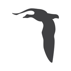 Flying bird silhouette, icon. Vector illustration isolated on white background.