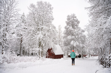 A calm tranquil view of the snow covered trees in the snowdrifts. A beautiful woman in coloured jacket walking through the Magical winter forest.