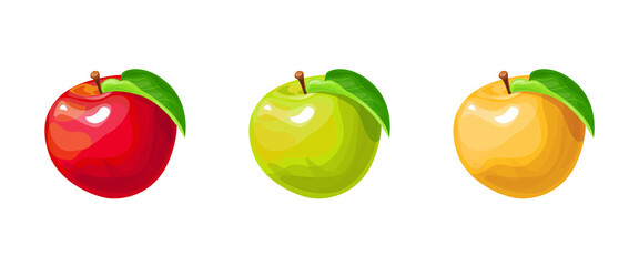 Vector drawing of different types of apples. Red, yellow, green apple on a white background.