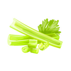Stick of celery vector icon. Cartoon vector icon isolated on white background.