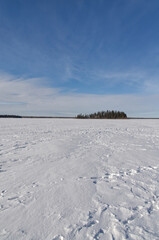 Fototapeta na wymiar Frozen Astotin Lake on a Cold Winter Day