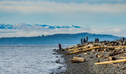 Shoreline Mountains Landscape 10