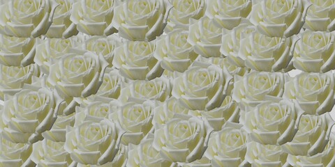 close up of roses abstract background