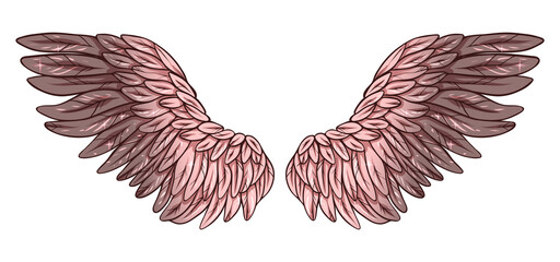 Beautiful magic tender pink angel wings, color vector illustration