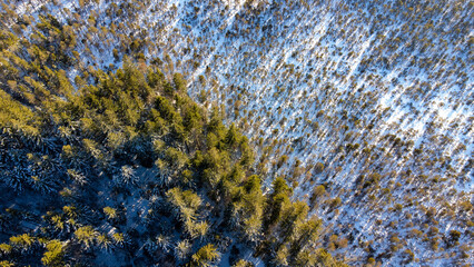 Drohnenaufnahme, Wald, Weiher, See, Winter, Schnee, Winterlandschaft, von oben