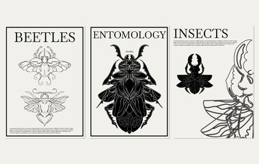 Vector  set of hand drawn  minimalistic placard with illustration. Creative collection with beetle. Template for card, poster, banner, print for t-shirt, pin, badge, patch.