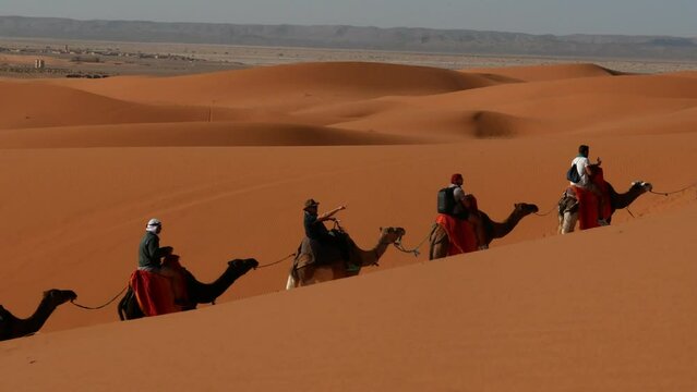 Group of friends on a camel caravan in the desert in Morocco.
