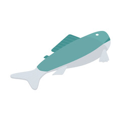 Fish, seafood, salmon, tuna - Isometric vector illustration in flat design. 