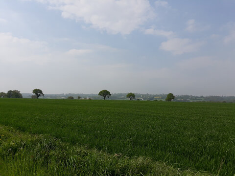 Promenade au milieu des champs dans le bocage normand