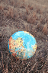 globus, mapa świata na wyschniętej łące - obrazy, fototapety, plakaty