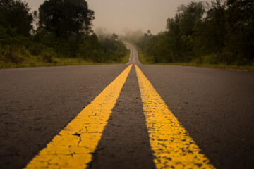 Yellow lines in the road in the middle of a forest on a foggy day in El Soberbio, Misiones,...