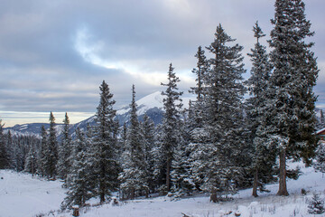 Winter landscape - Rax Mountain in the Austrian Alps, Lower Austria