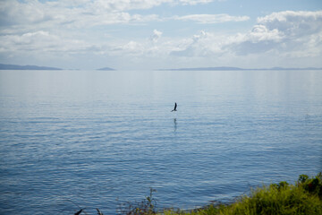 Coromandel - Cathedral Cove & Hot water beach