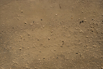 The texture of the mud or wet soil, web backdrop