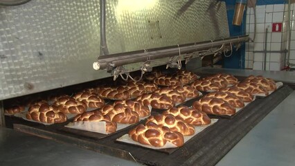 The oven in the bakery. Hot fresh bread leaves the industrial oven in a bakery. Automatic bread production line